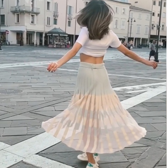 Zara Pleated Knit Skirt - Picture 4 of 10